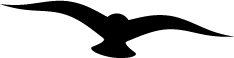 ikona ptak