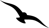 ikona ptak